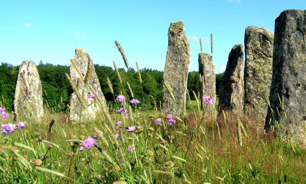 1200 Kopia av Skeppsättning 07 juli