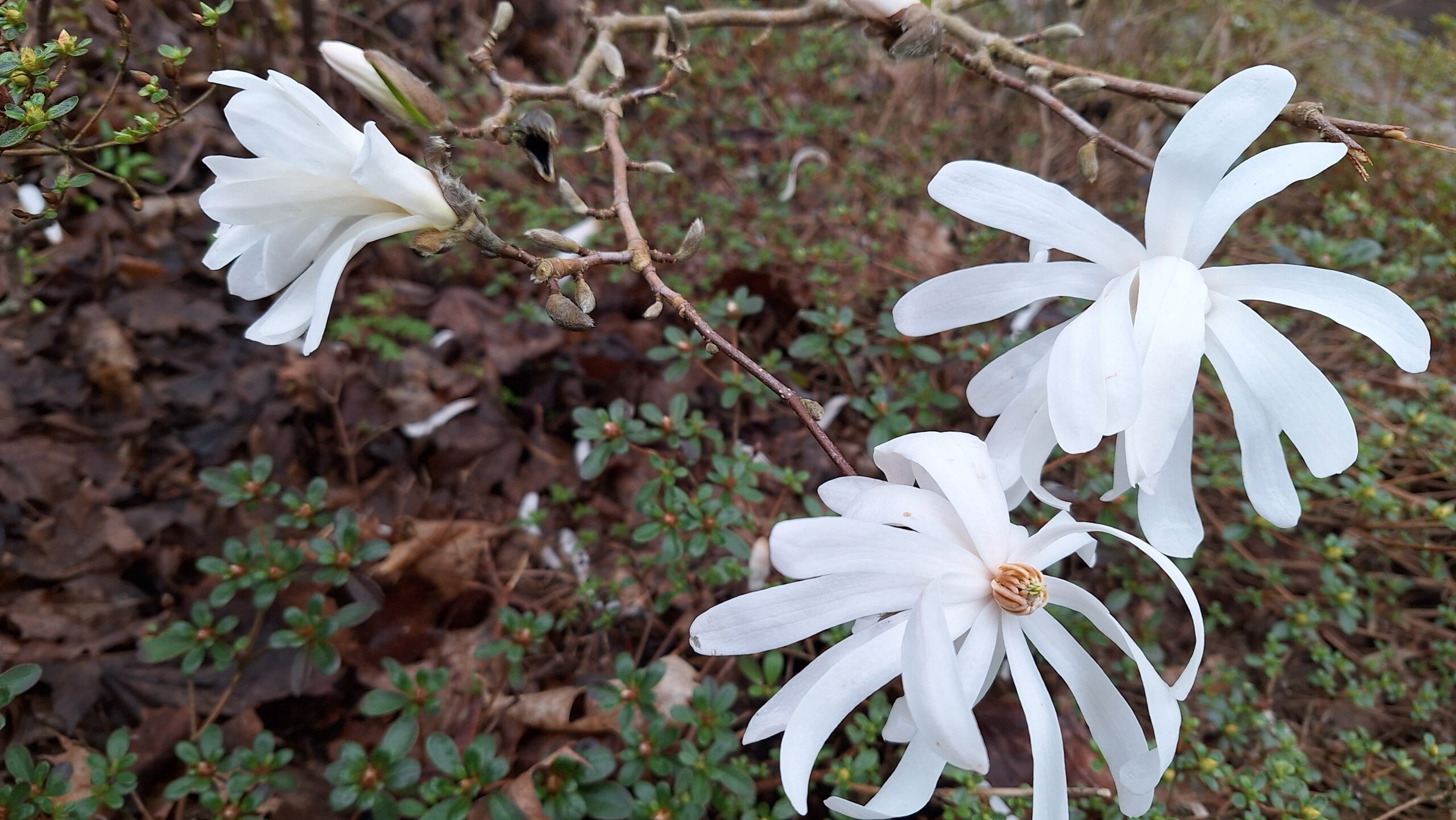 Besök vår nya Facebooksida